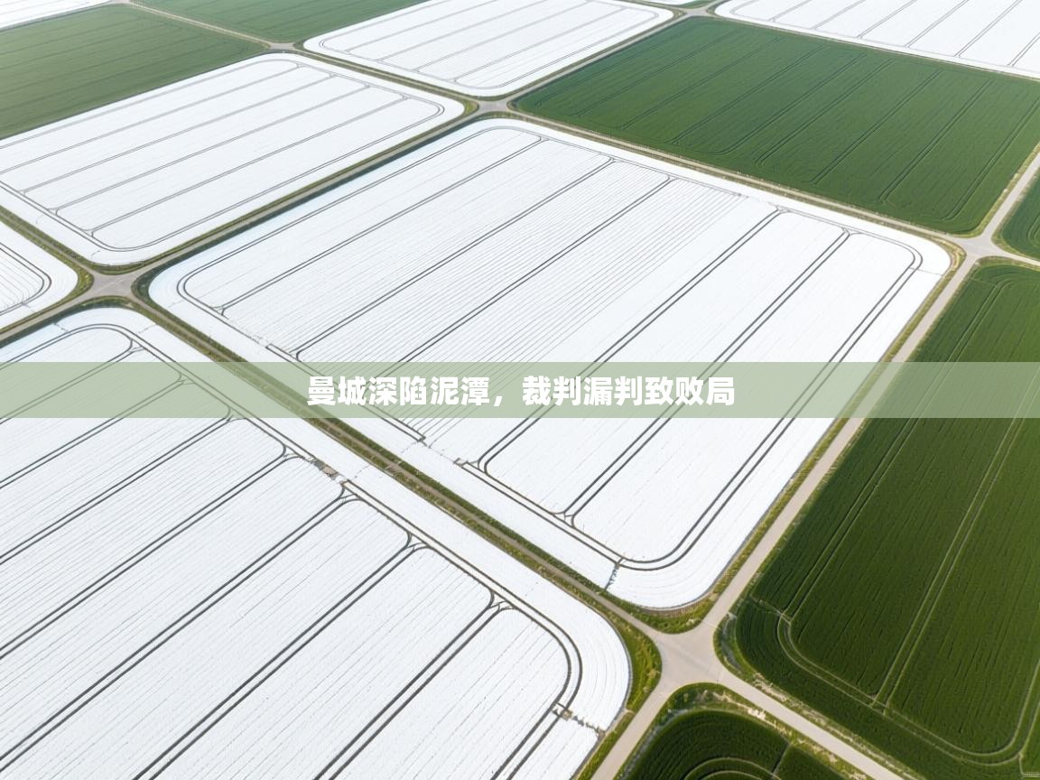 曼城深陷泥潭，裁判漏判致败局  第1张