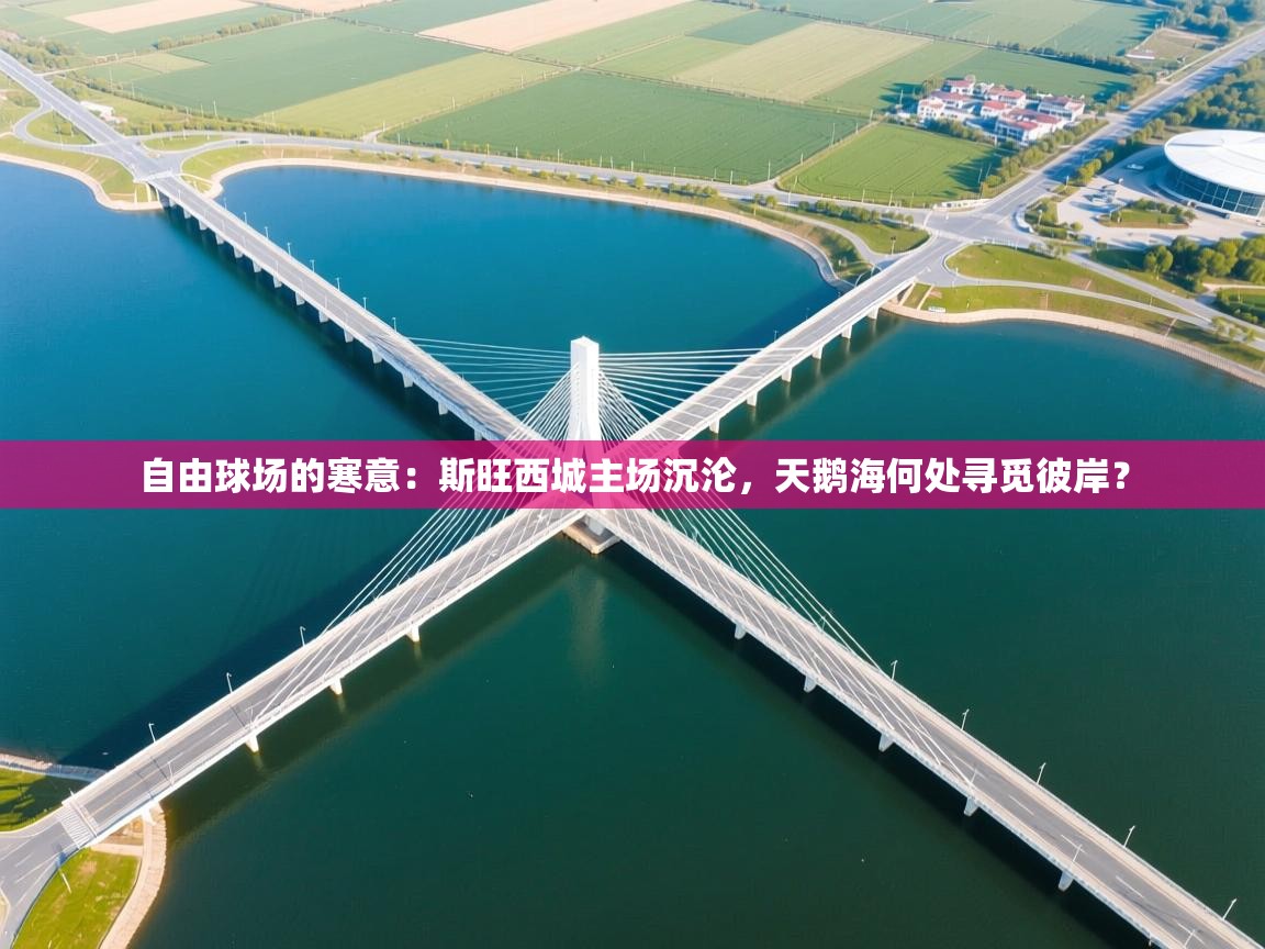 自由球场的寒意：斯旺西城主场沉沦，天鹅海何处寻觅彼岸？  第1张