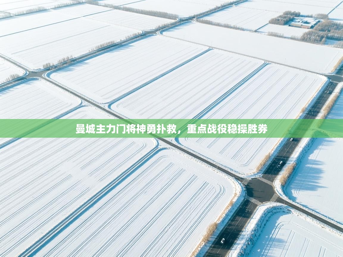 曼城主力门将神勇扑救，重点战役稳操胜券  第1张