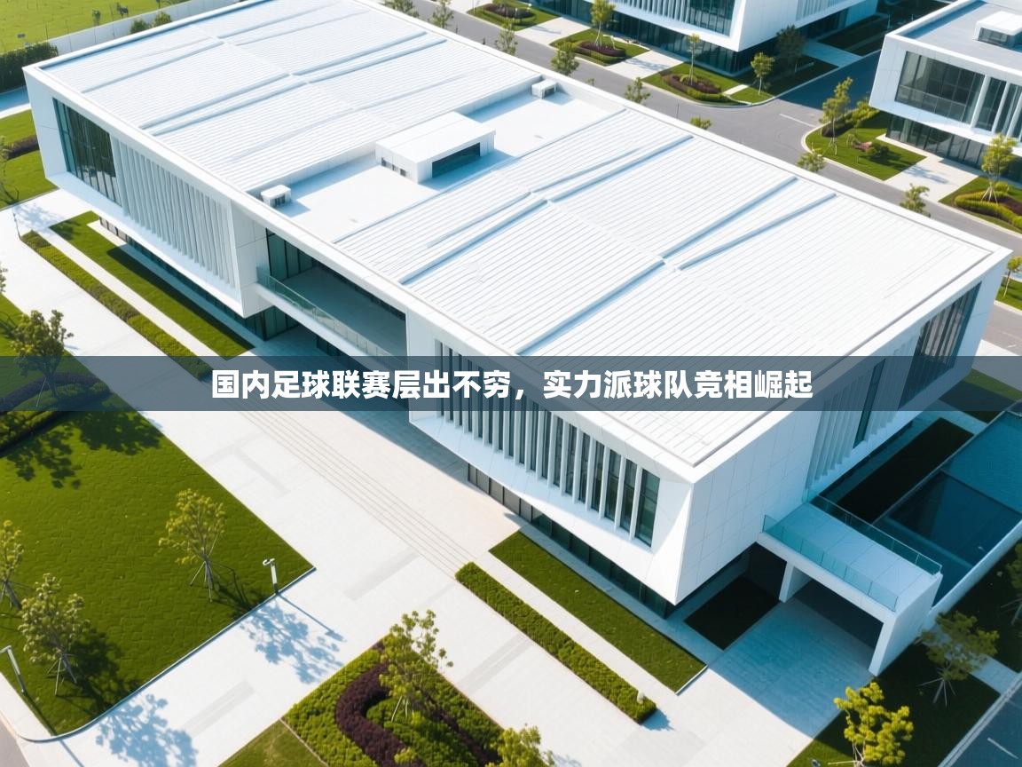 国内足球联赛层出不穷，实力派球队竞相崛起  第2张