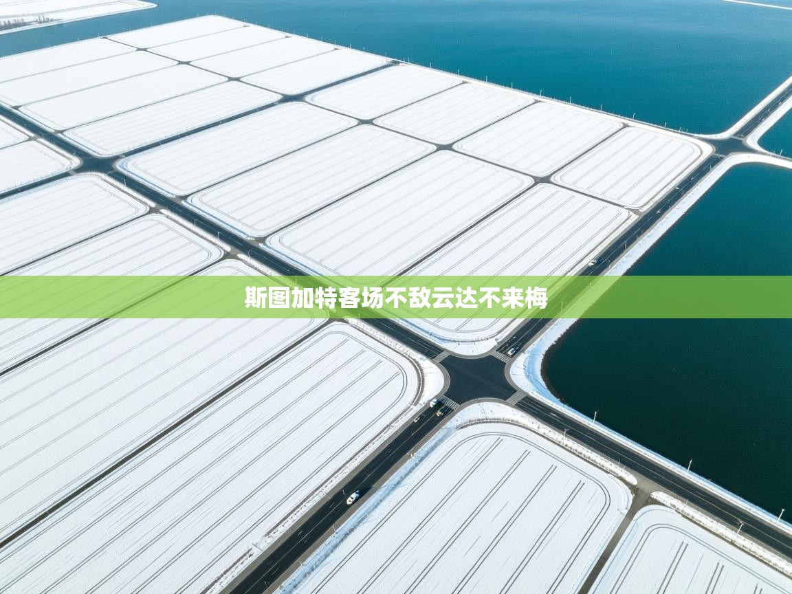 斯图加特客场不敌云达不来梅  第1张