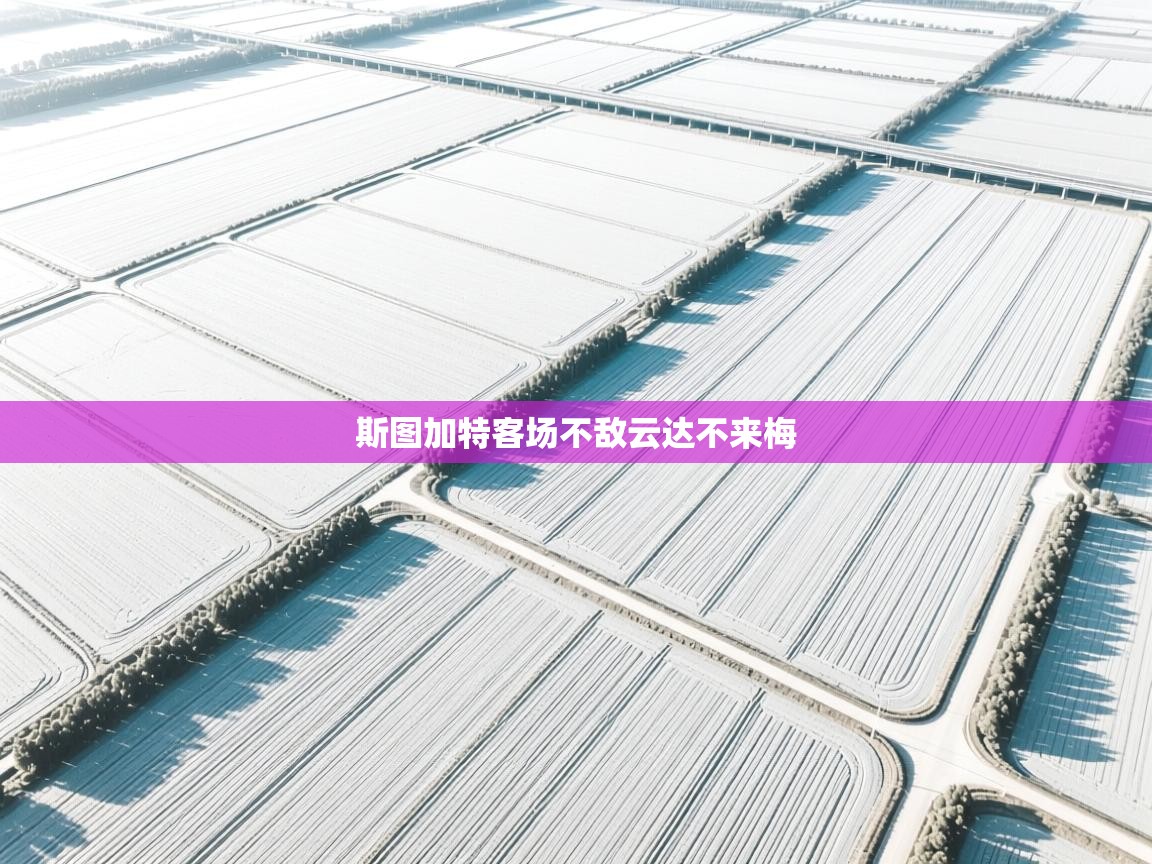 斯图加特客场不敌云达不来梅  第2张